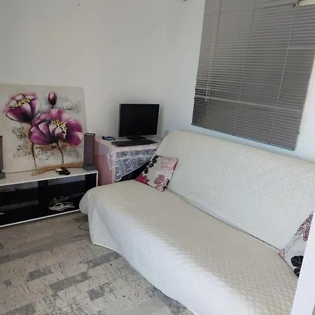 Sanguinaires Appt 3 P Pour 4 A 5 Personnes Ttes Commodités Tt Confort ! A 300m Des Plages Et A 5 Mn Du Centre Appartement *